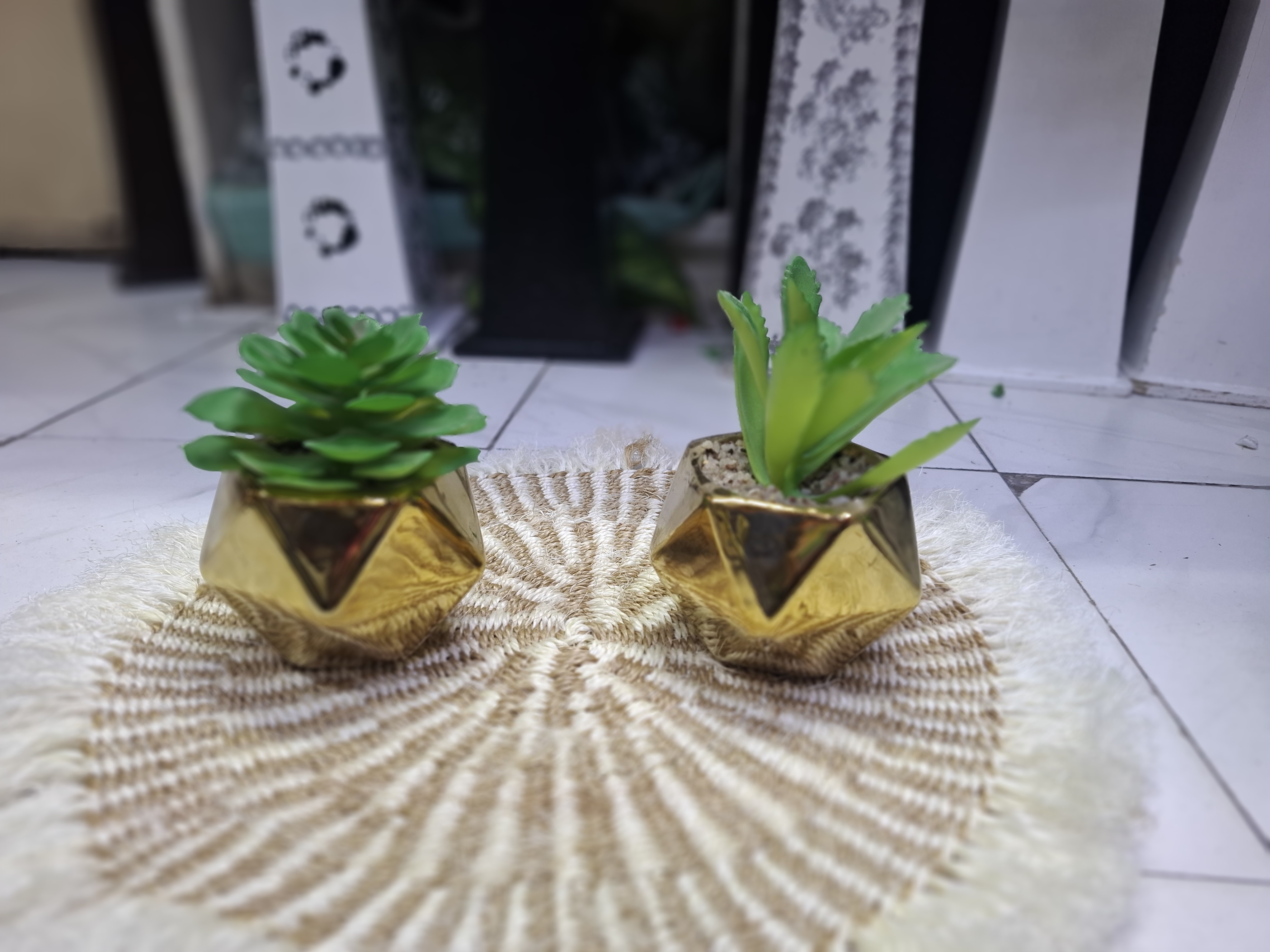 Gold Succulent