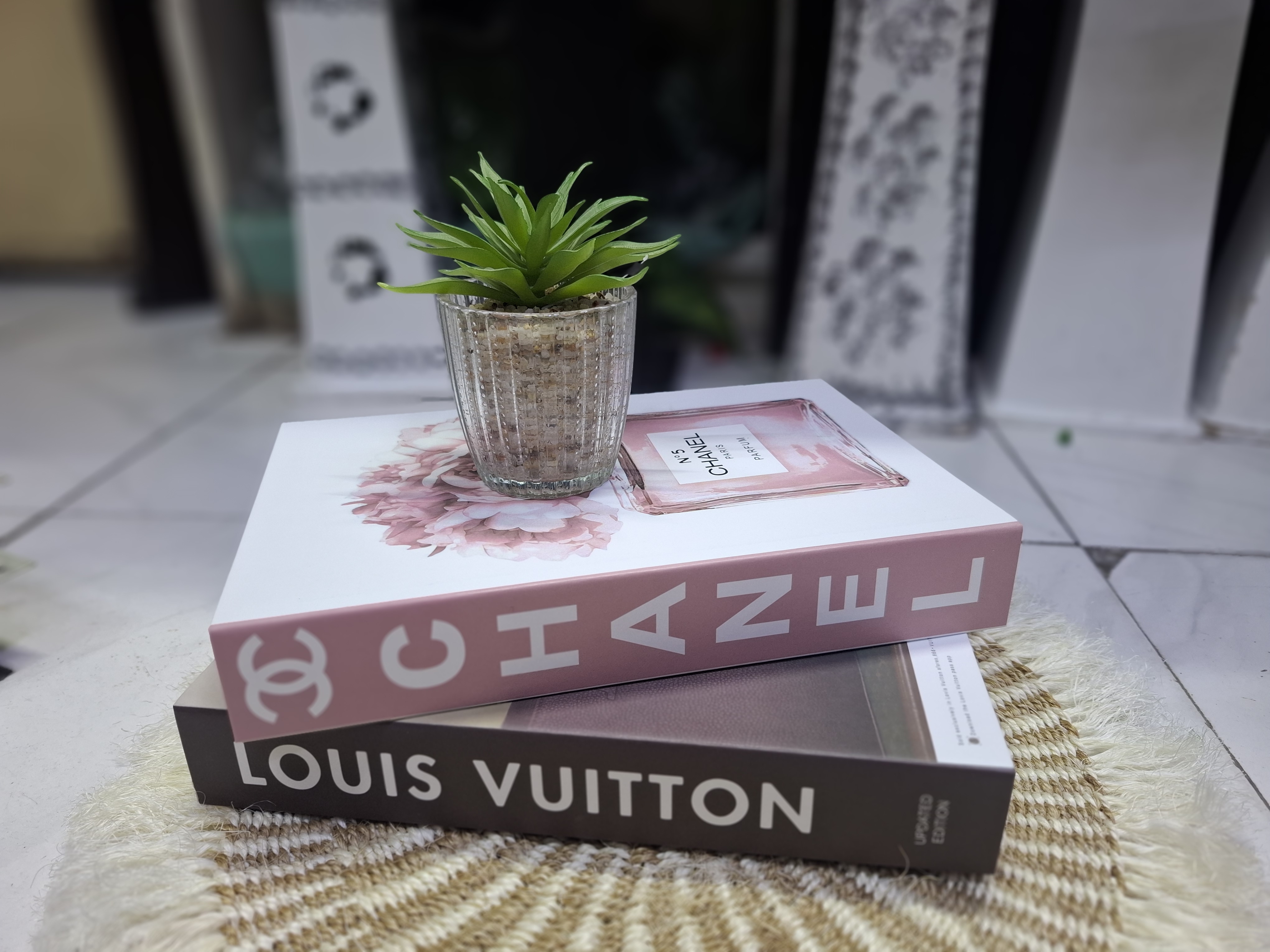 Glass Succulents+2 Decor Books